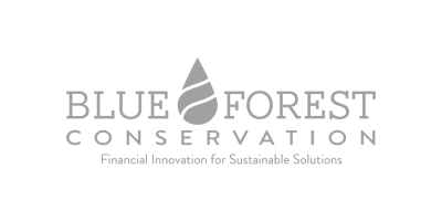 Blue Forest Conservation